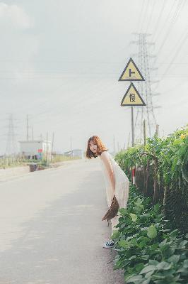 中文在线字幕免费观看电视剧大全